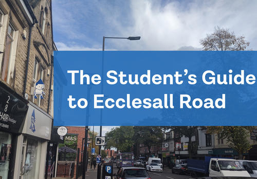 Complete Student's Guide to Ecclesall Road